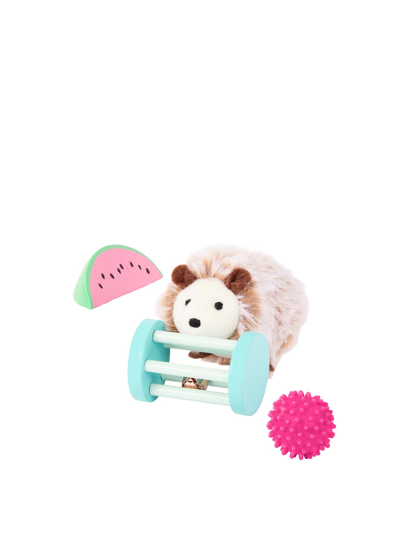 Pet Hedgehog Set