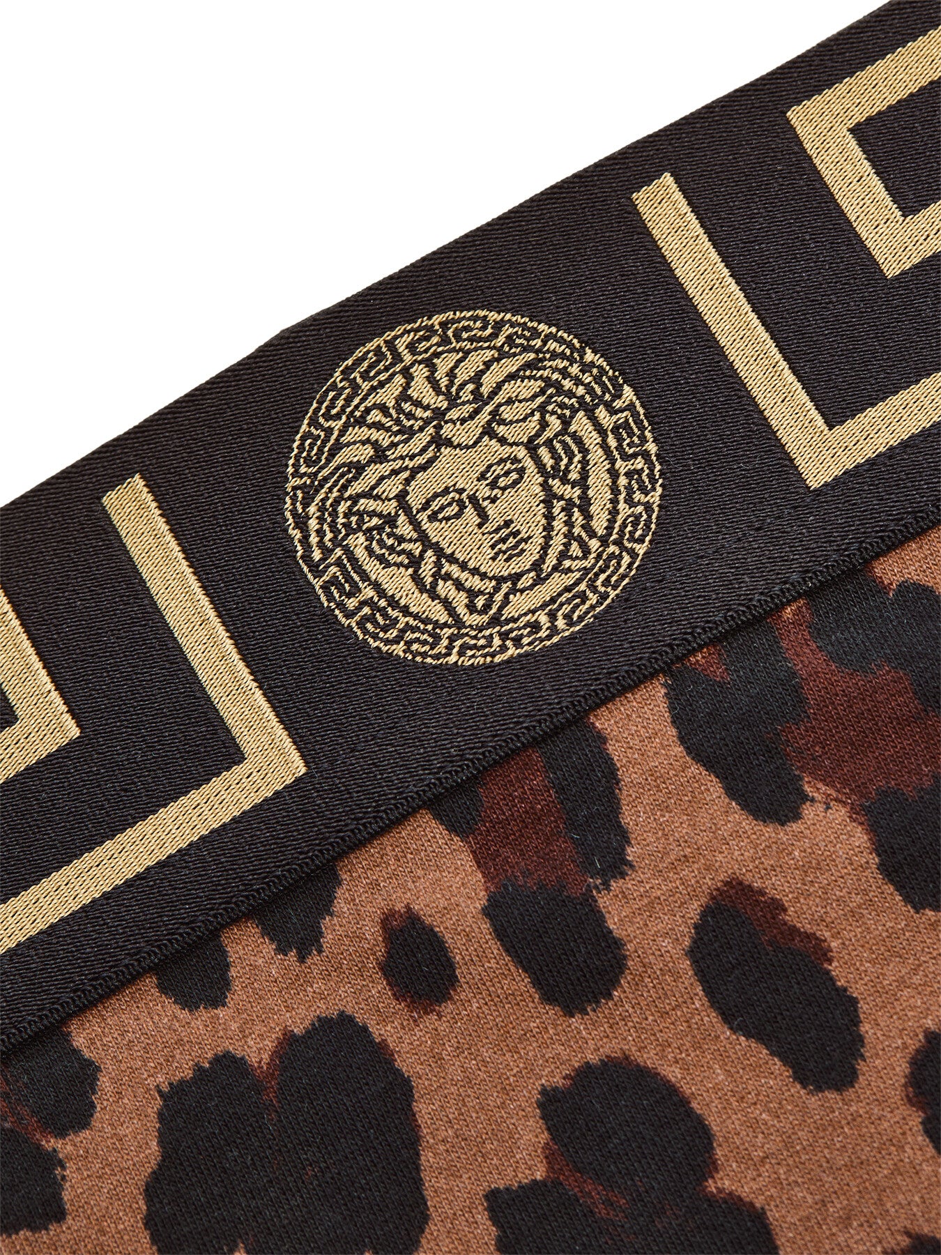Underwear Jersey Topeka Bi-stretch Leopard All Over Print
