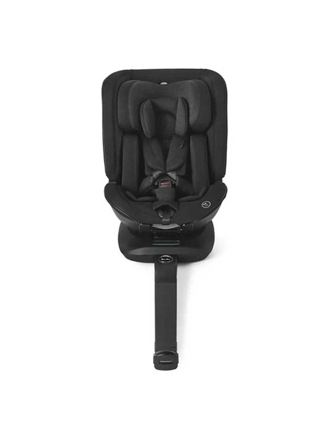 Special Edition Reef With Dream Dream Base Motion