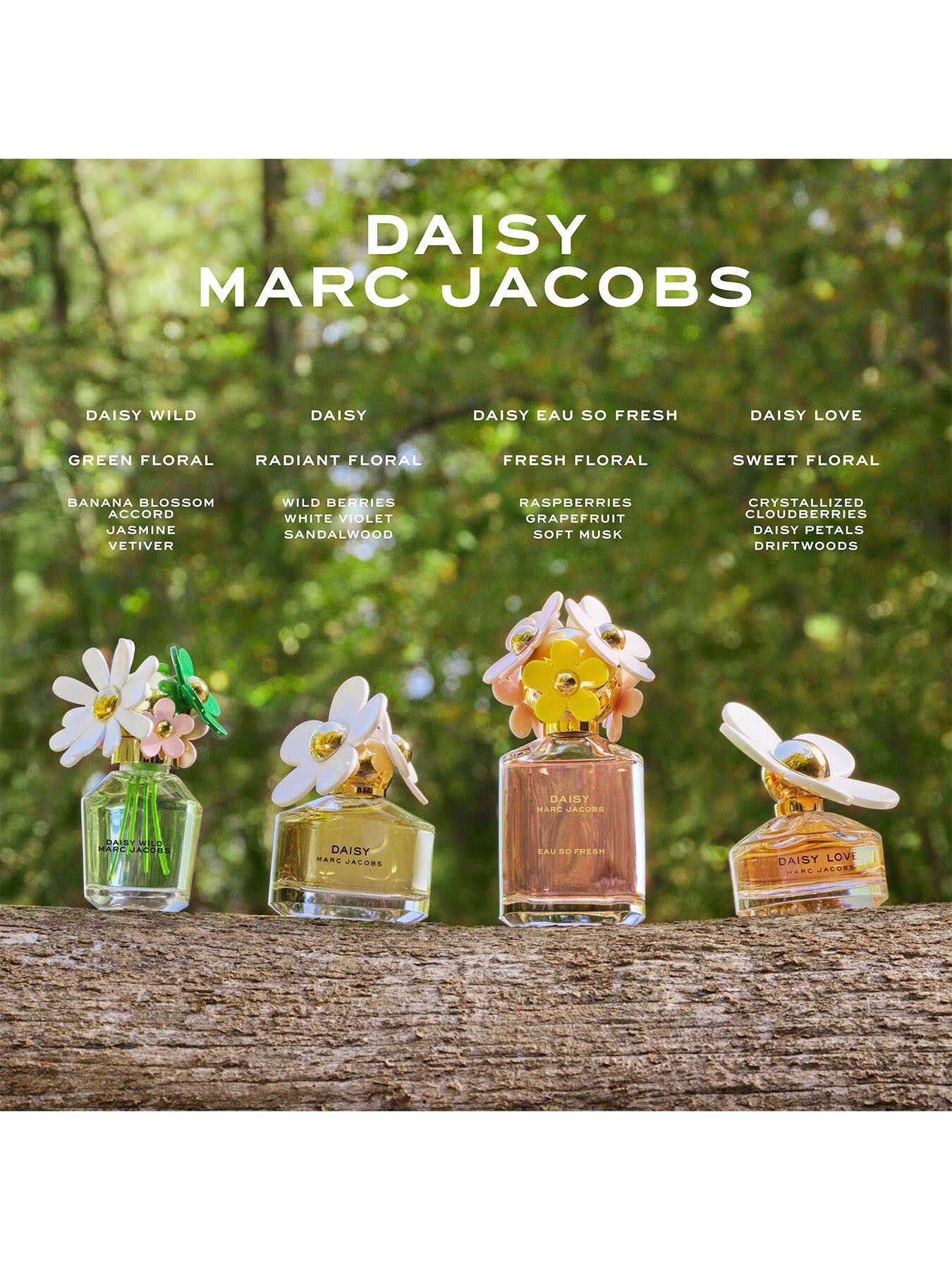 Daisy Wild Eau de Parfum 50ml