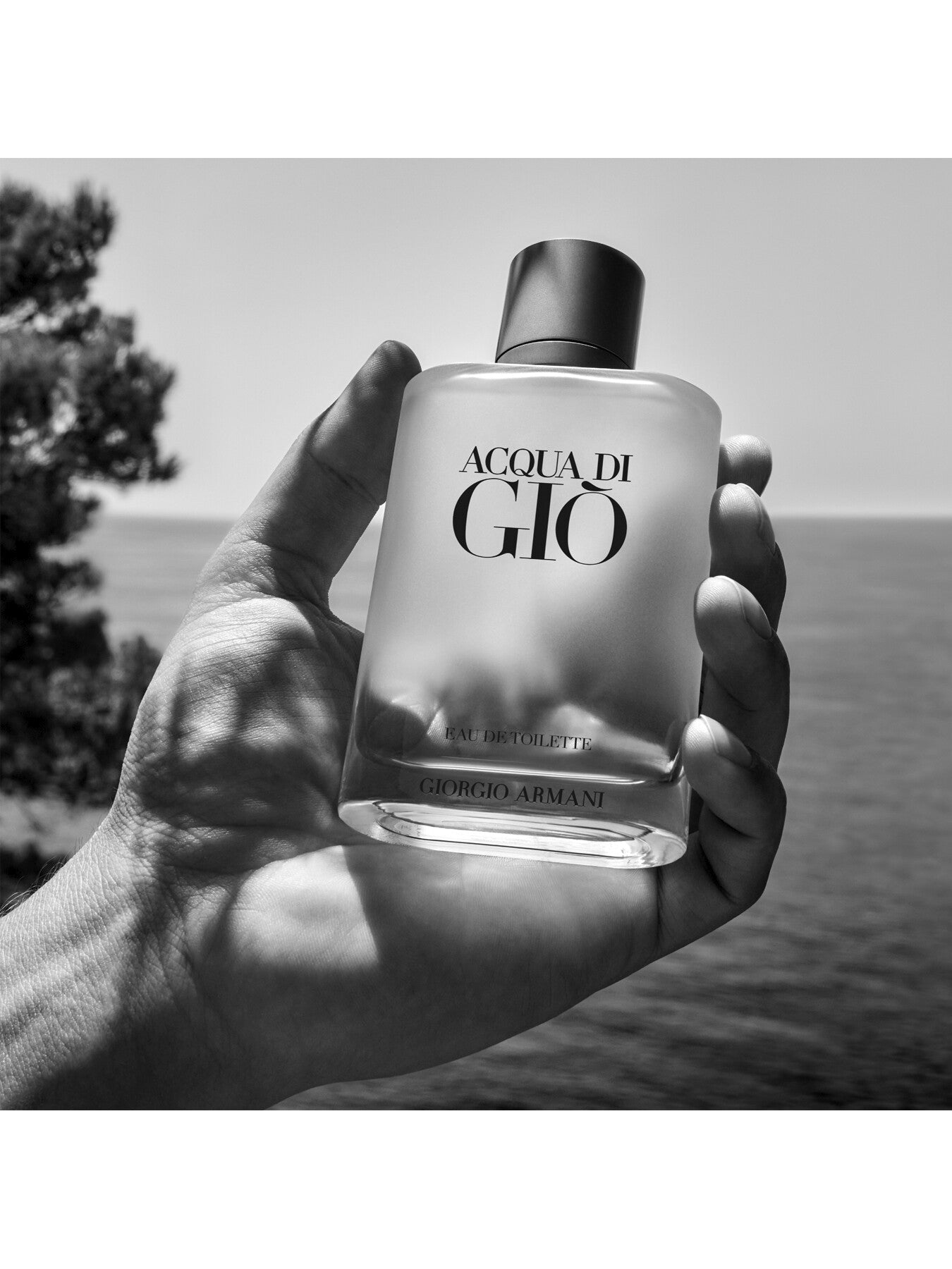 Acqua Di Gio Eau de Toilette 50ml
