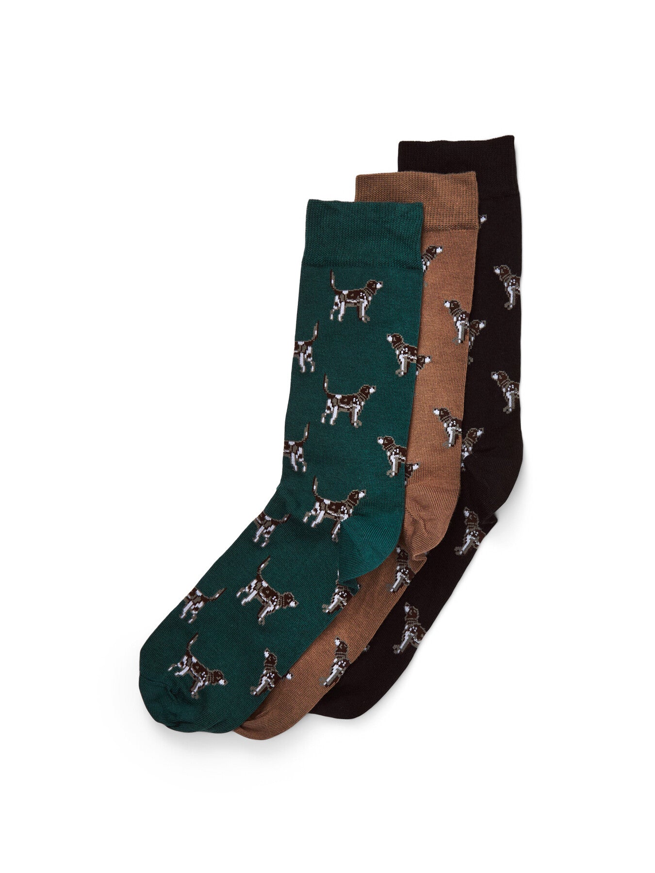 Pointer Dog Socks Gift Box