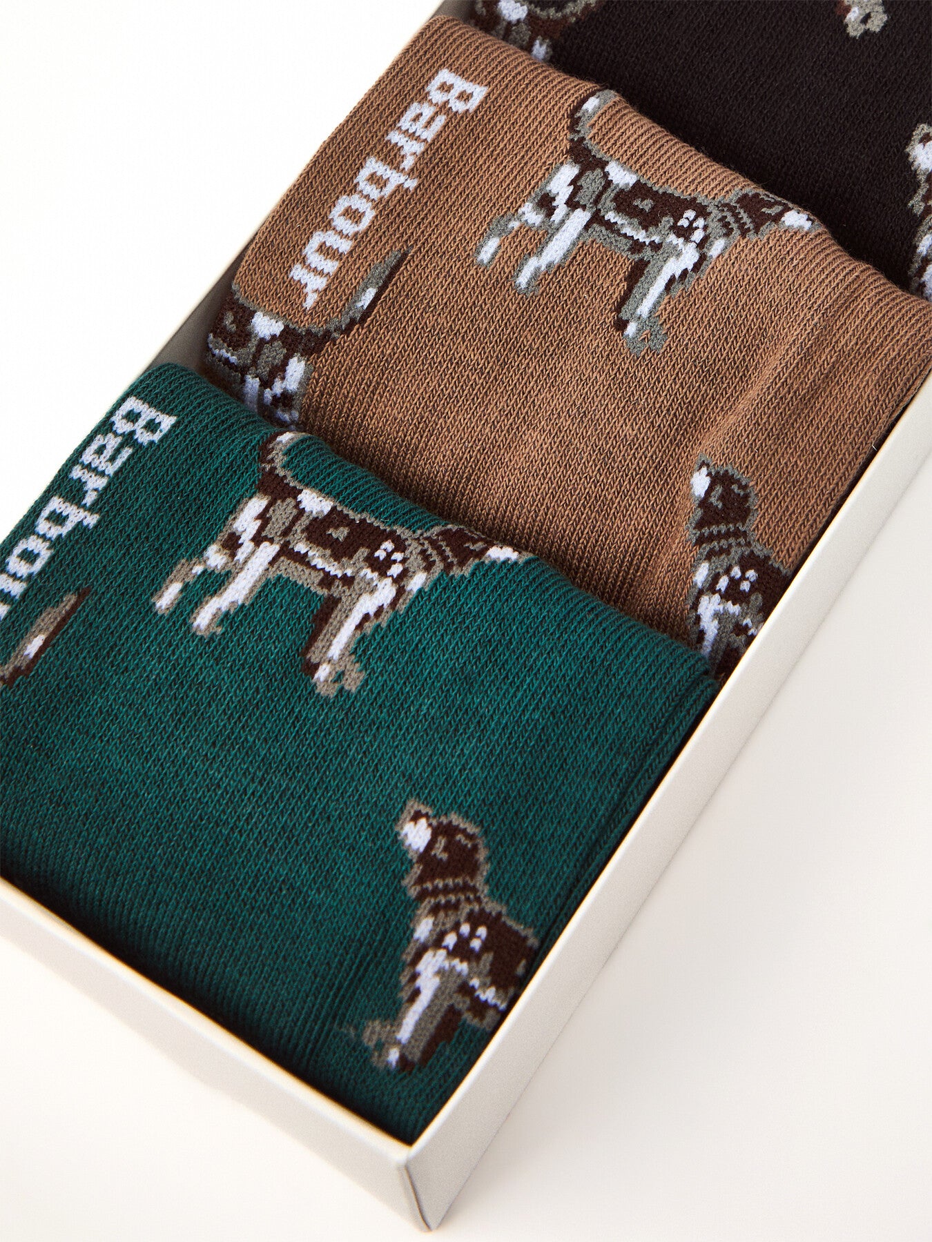 Pointer Dog Socks Gift Box