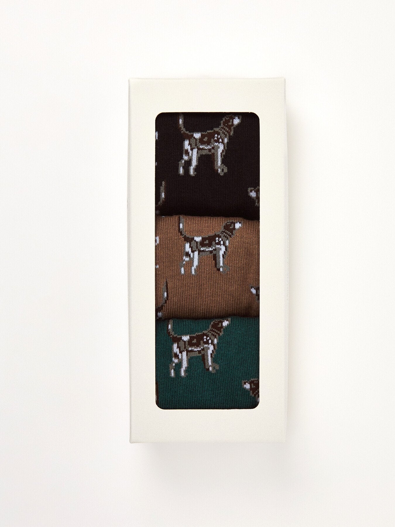 Pointer Dog Socks Gift Box
