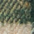 Green Check