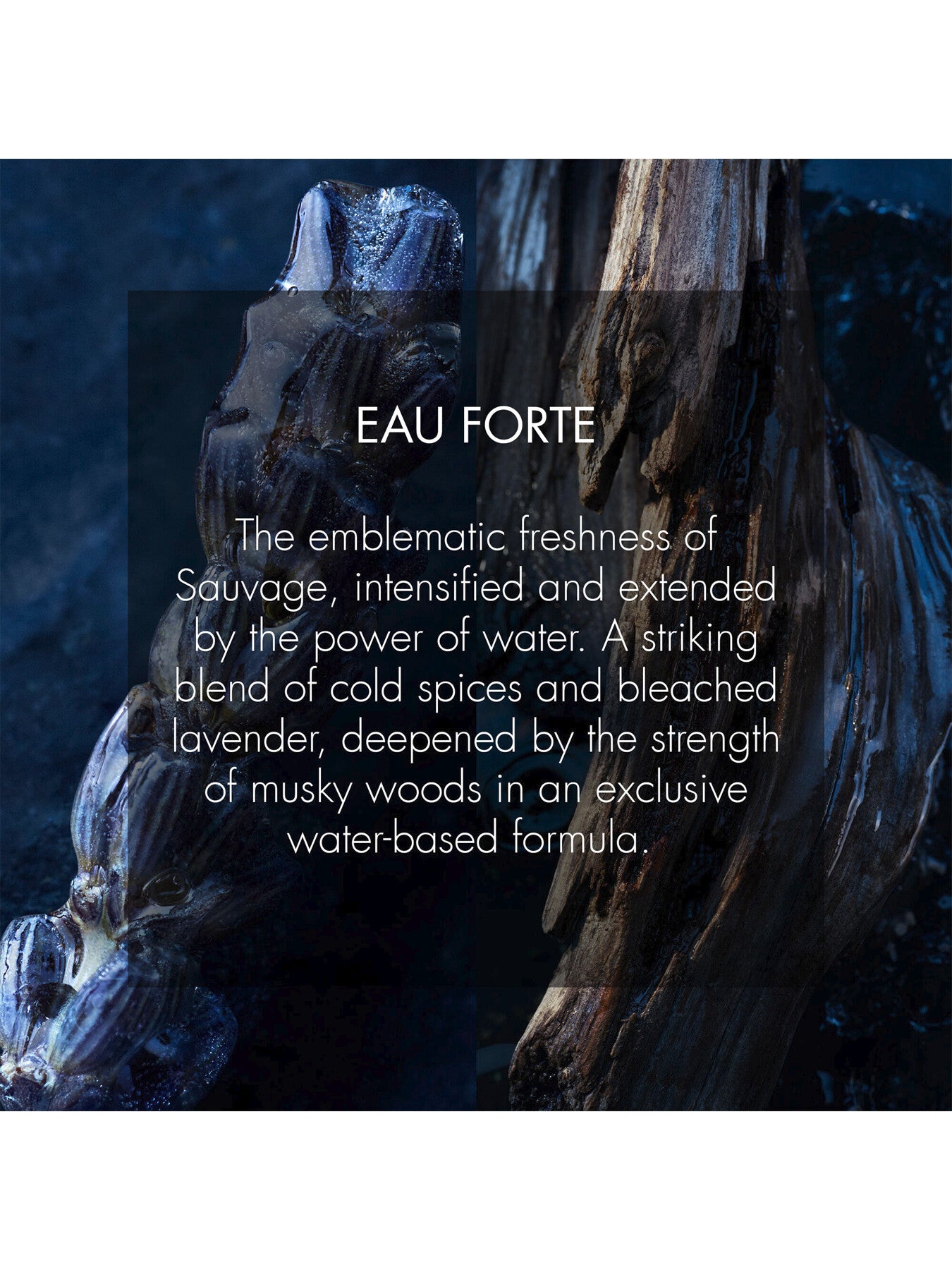 Sauvage Eau Forte 60ml