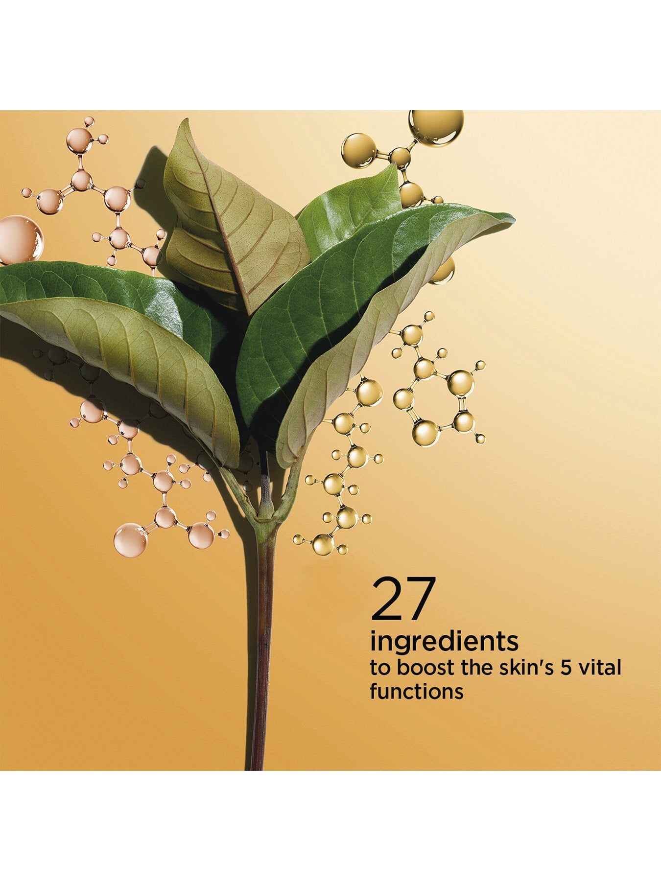 Double Serum 75ml