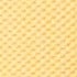 Corn Yellow
