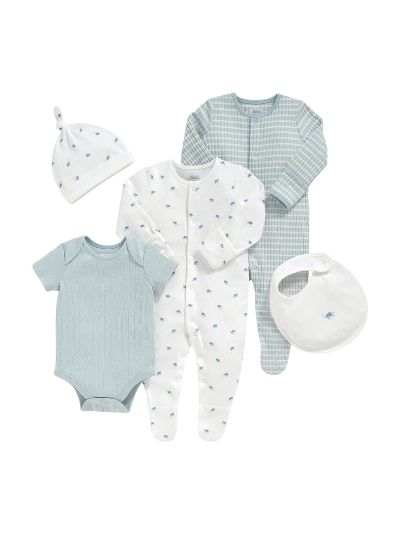 Turtle Set (5 Piece)