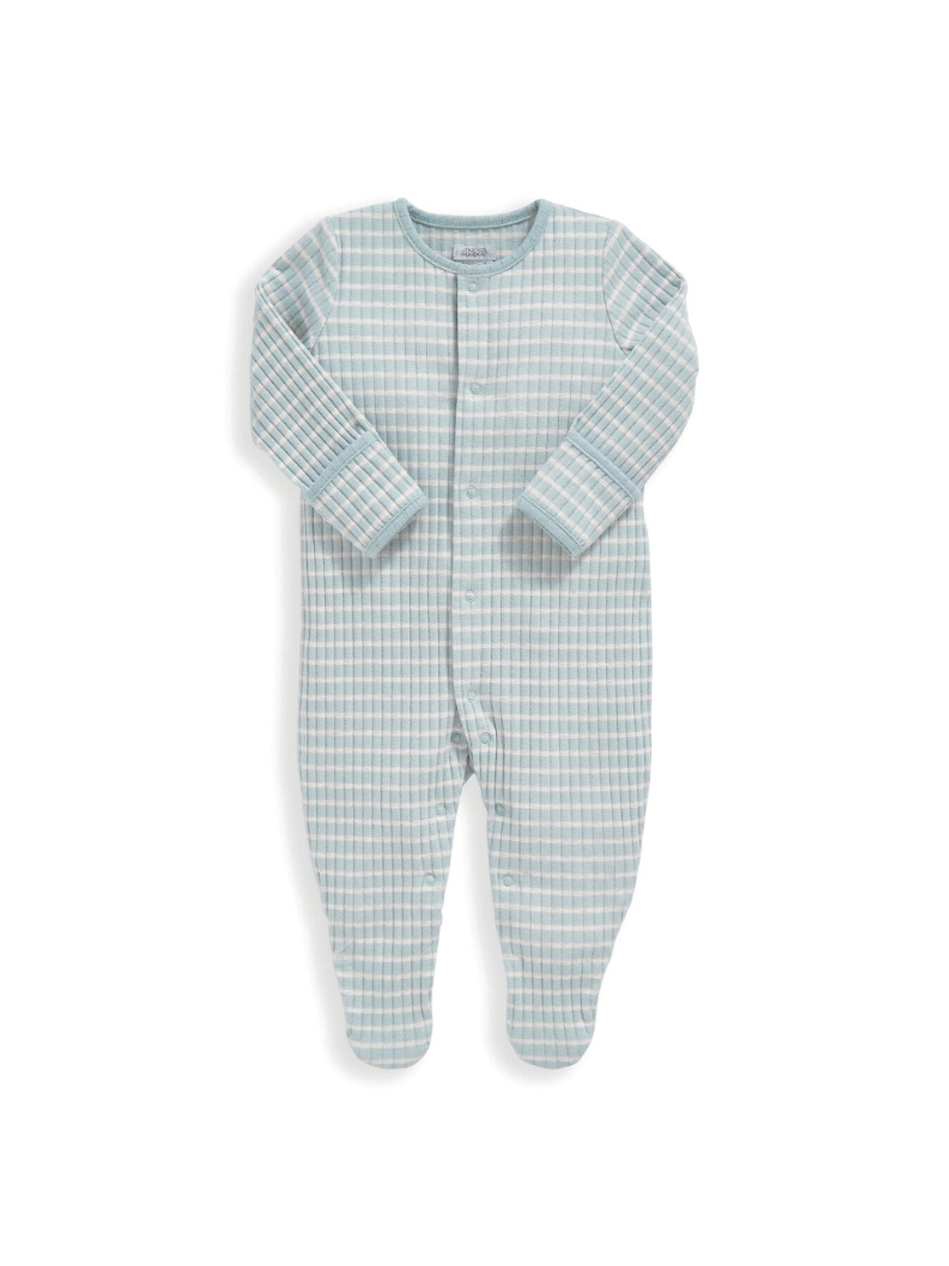 Turtle Set (5 Piece)
