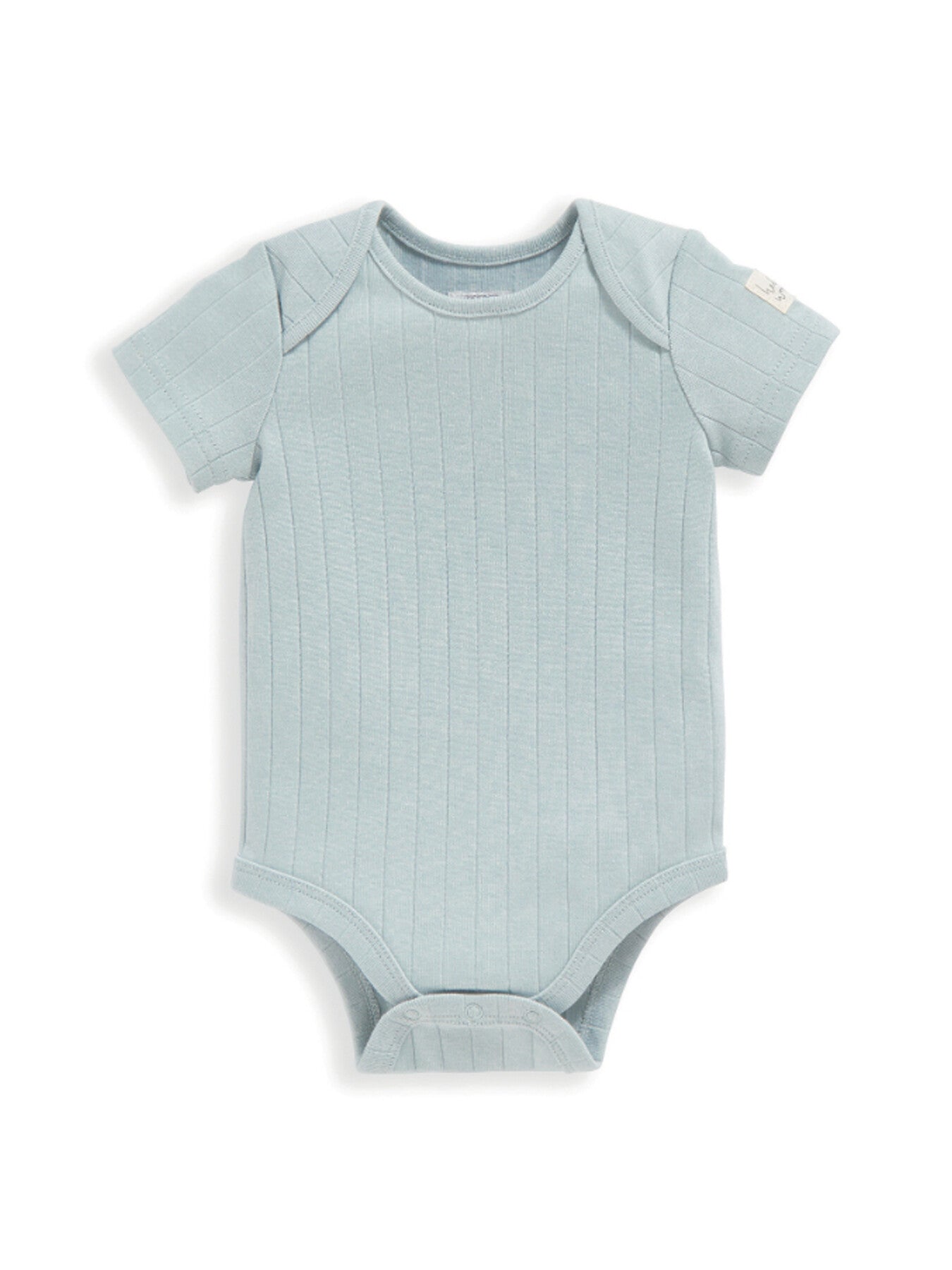 Turtle Set (5 Piece)