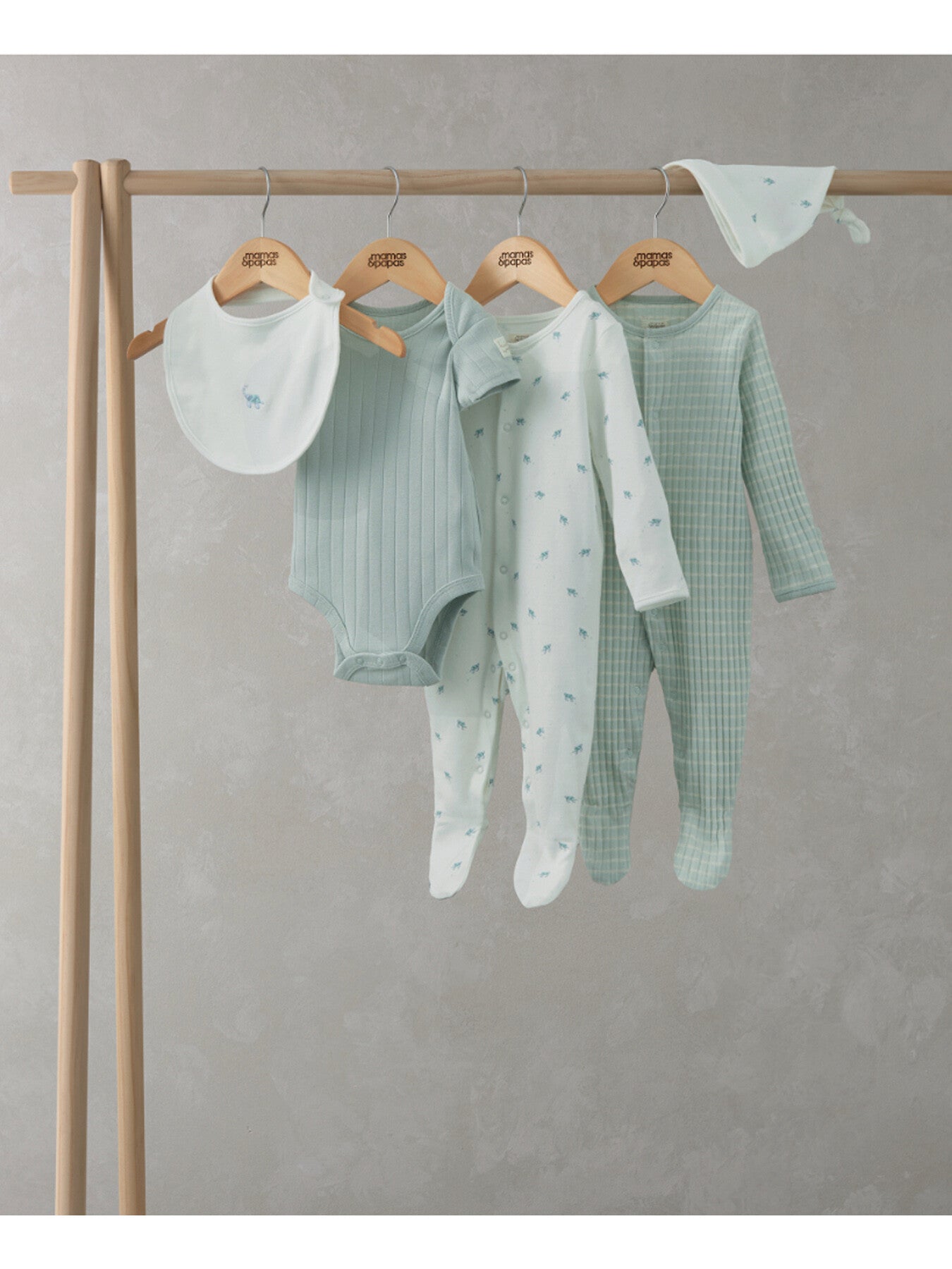 Turtle Set (5 Piece)
