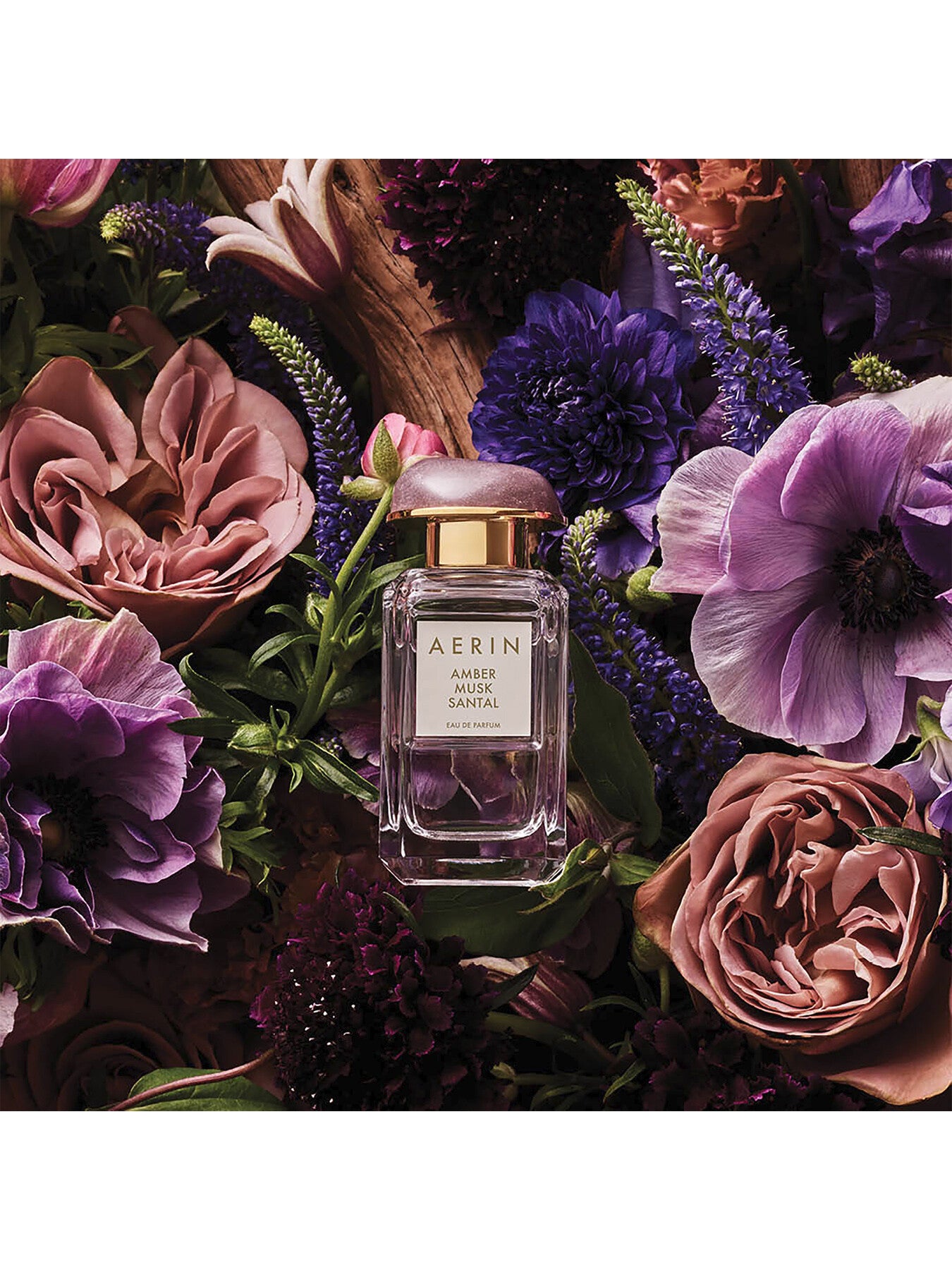 Amber Musk Santal Eau de Parfum 50ml - Main Image