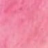 BUBBLE GUM