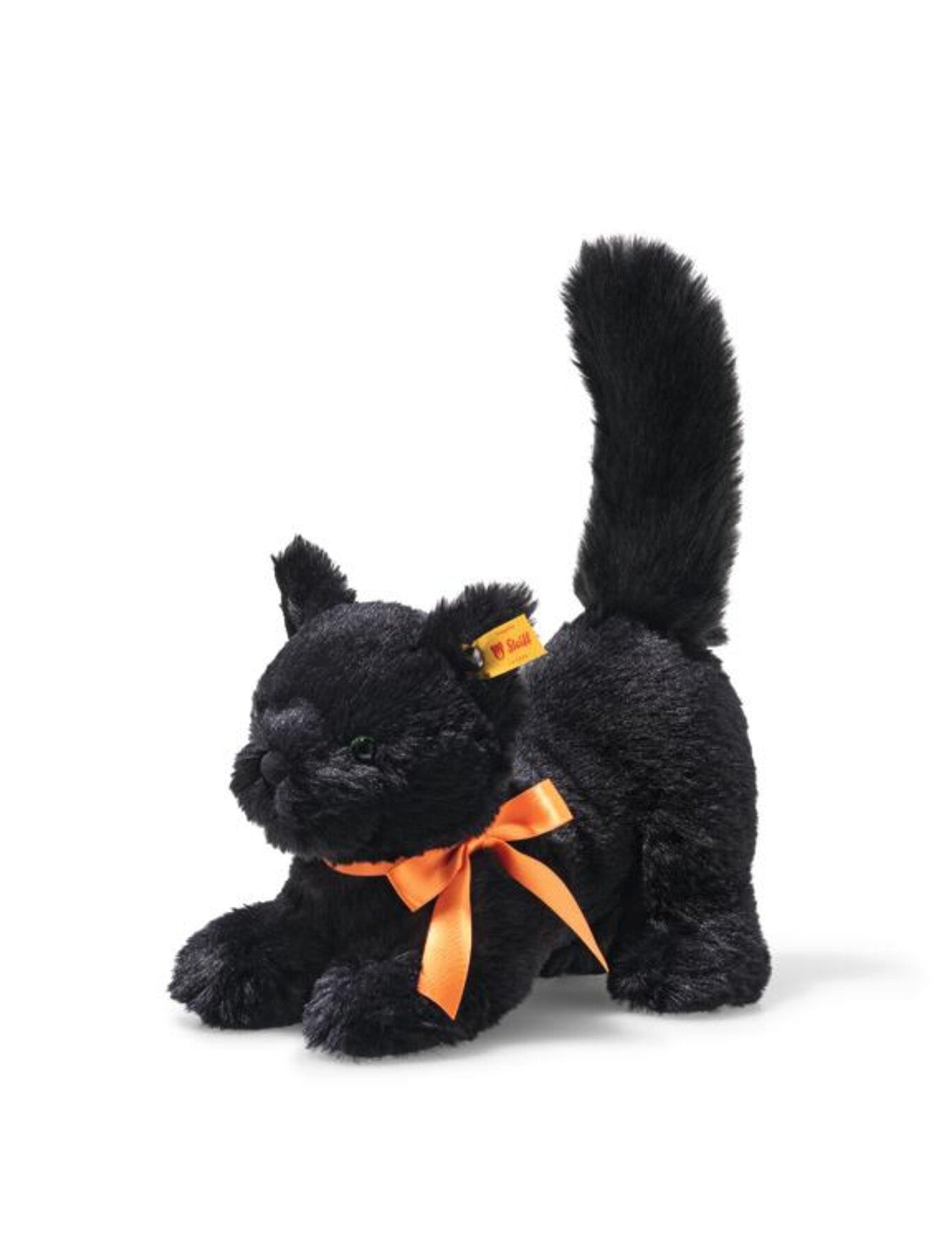 Spooky Cat
