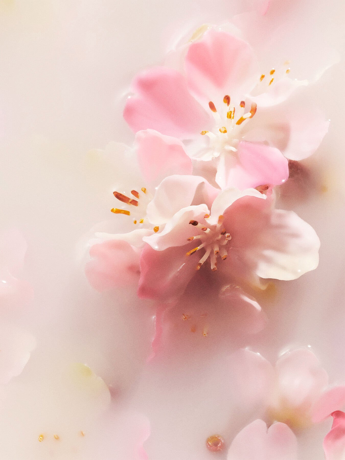 The Ritual of Sakura - Large Gift Set 2024