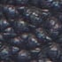Space Blue