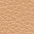 Safari Canvas