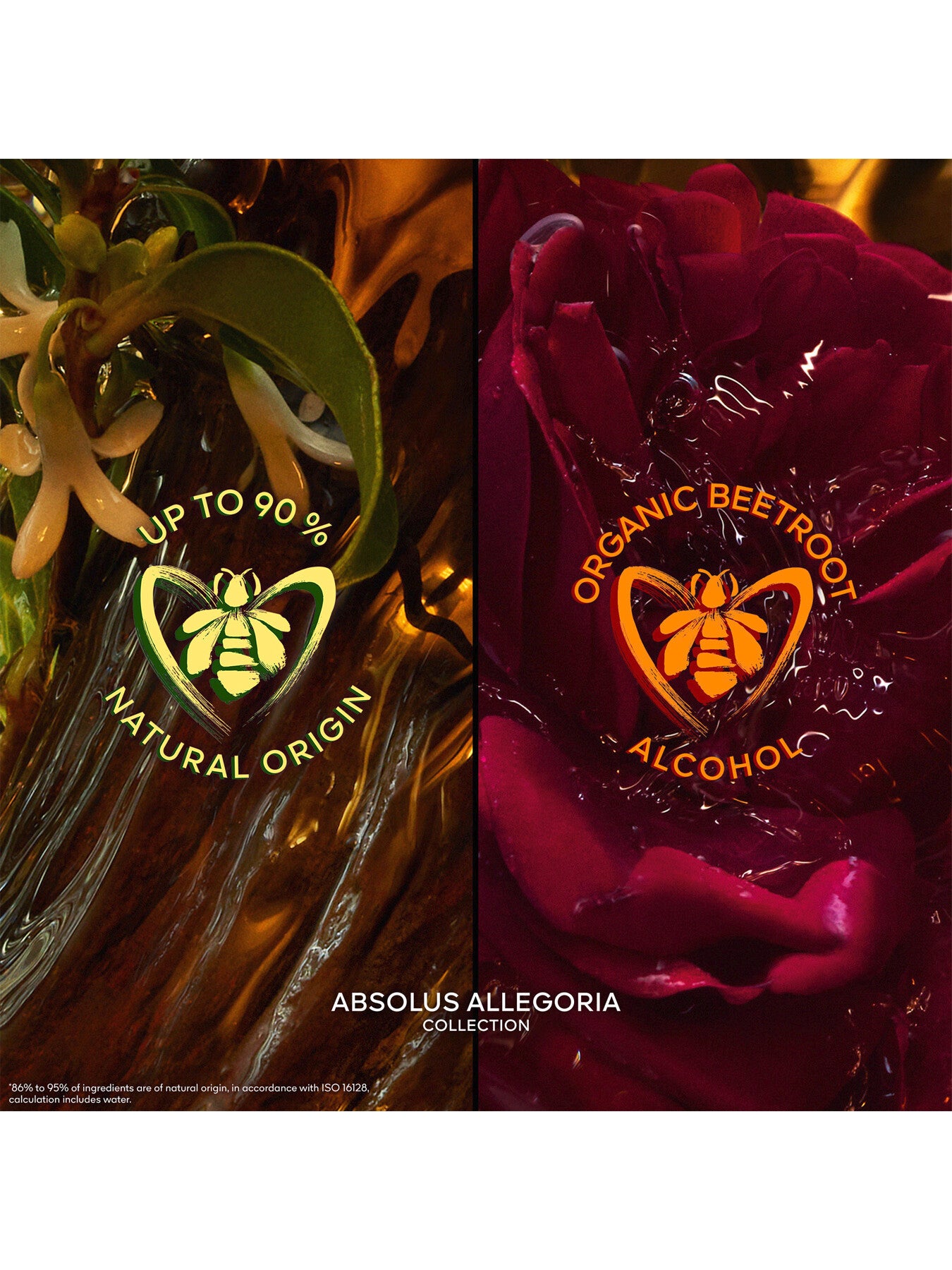 Absolus Allegoria Oud Essentiel Eau de Parfum 125ml