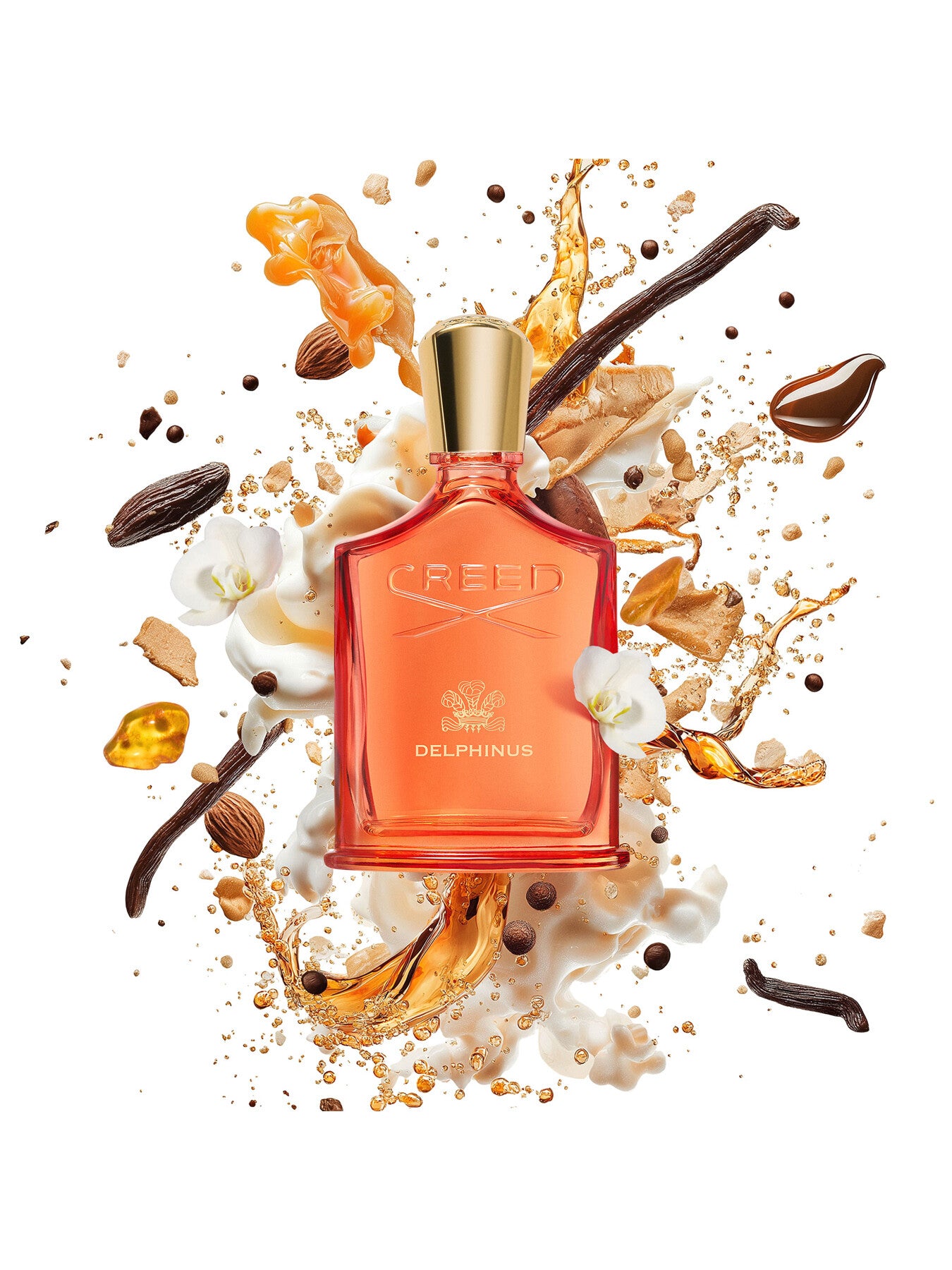 Delphinus Eau de Parfum 50ml
