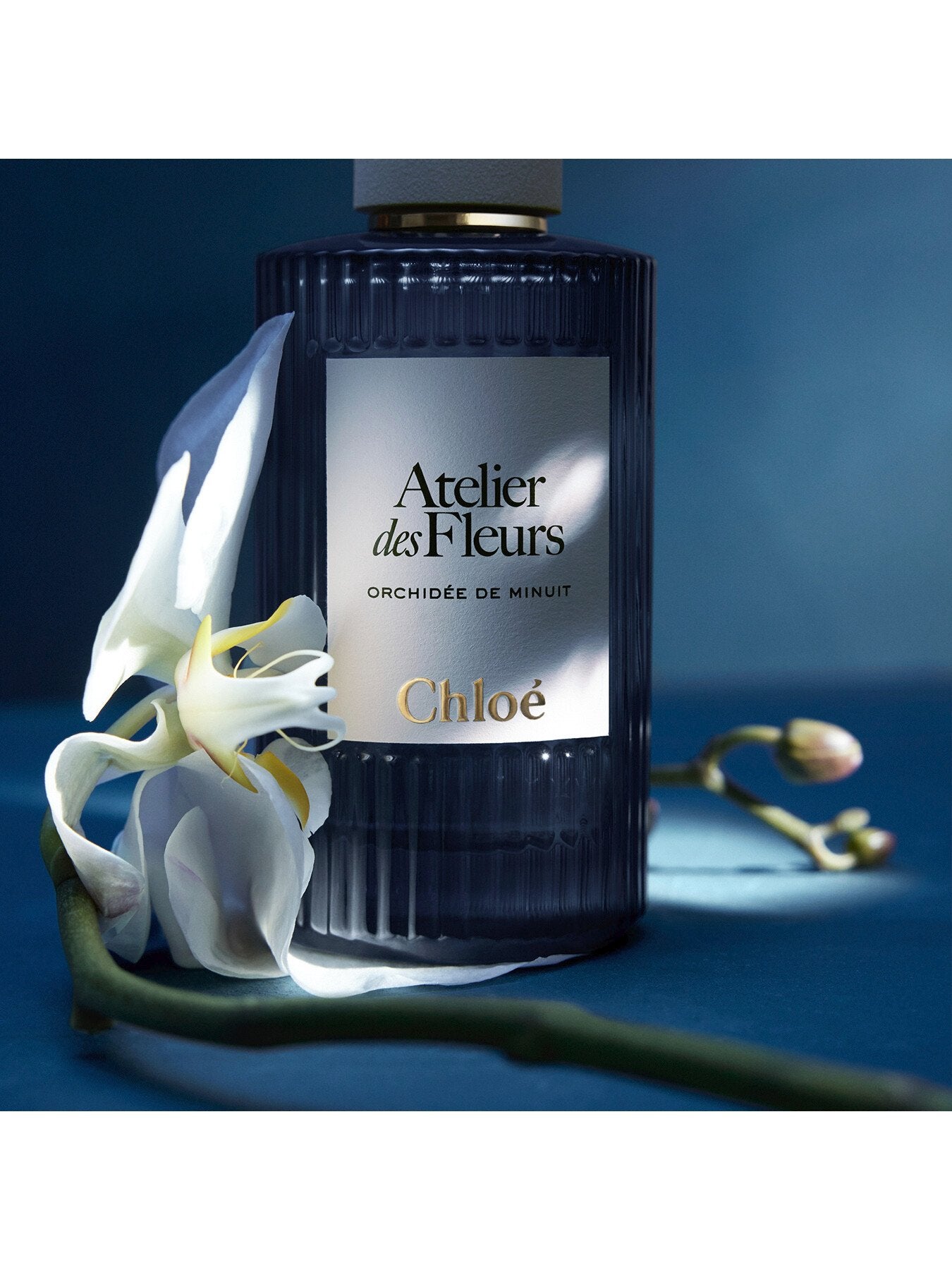 Chloé Atelier des Fleurs Orchidée de Minuit Eau de Parfum for Women 50ml