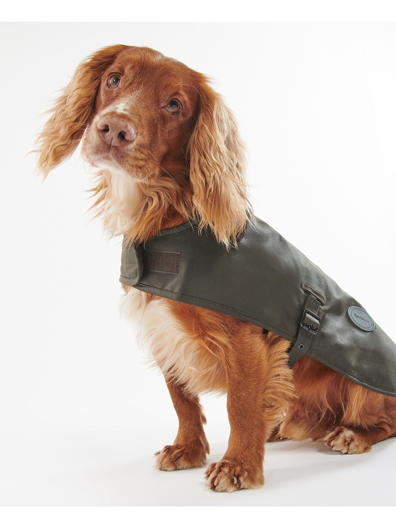 Wax Dog Coat