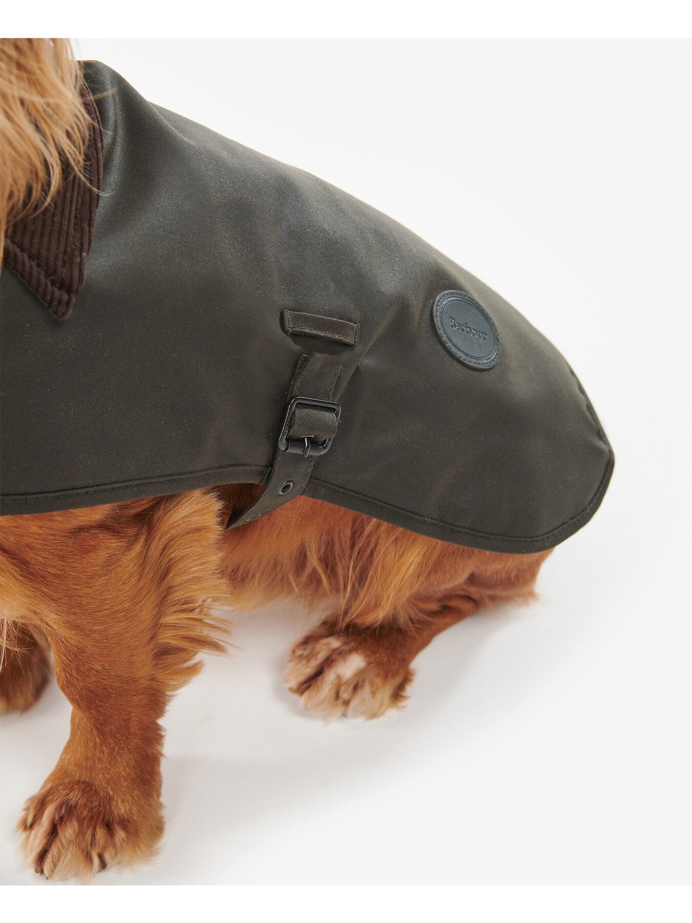 Wax Dog Coat