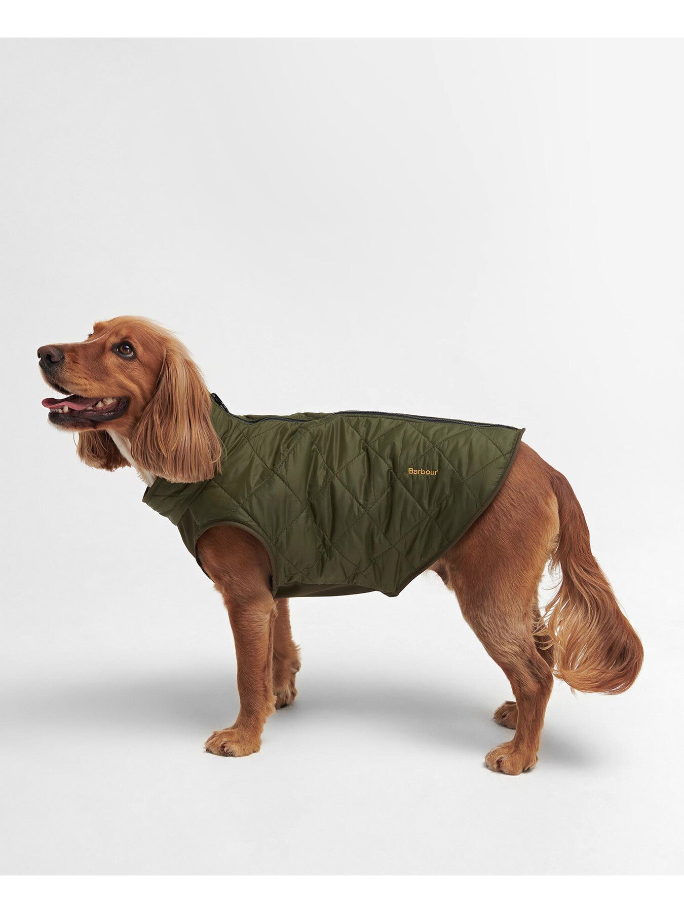 Reversible Quilt/ Borg Fleece Dog Coat