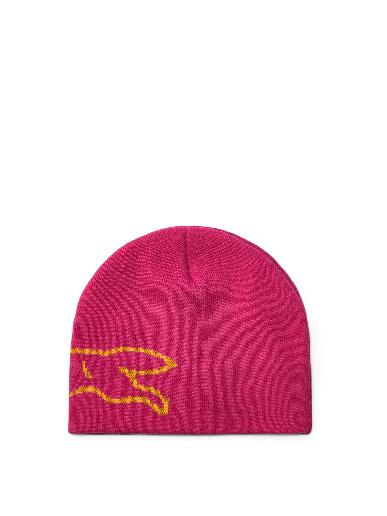 Running Dog Beanie