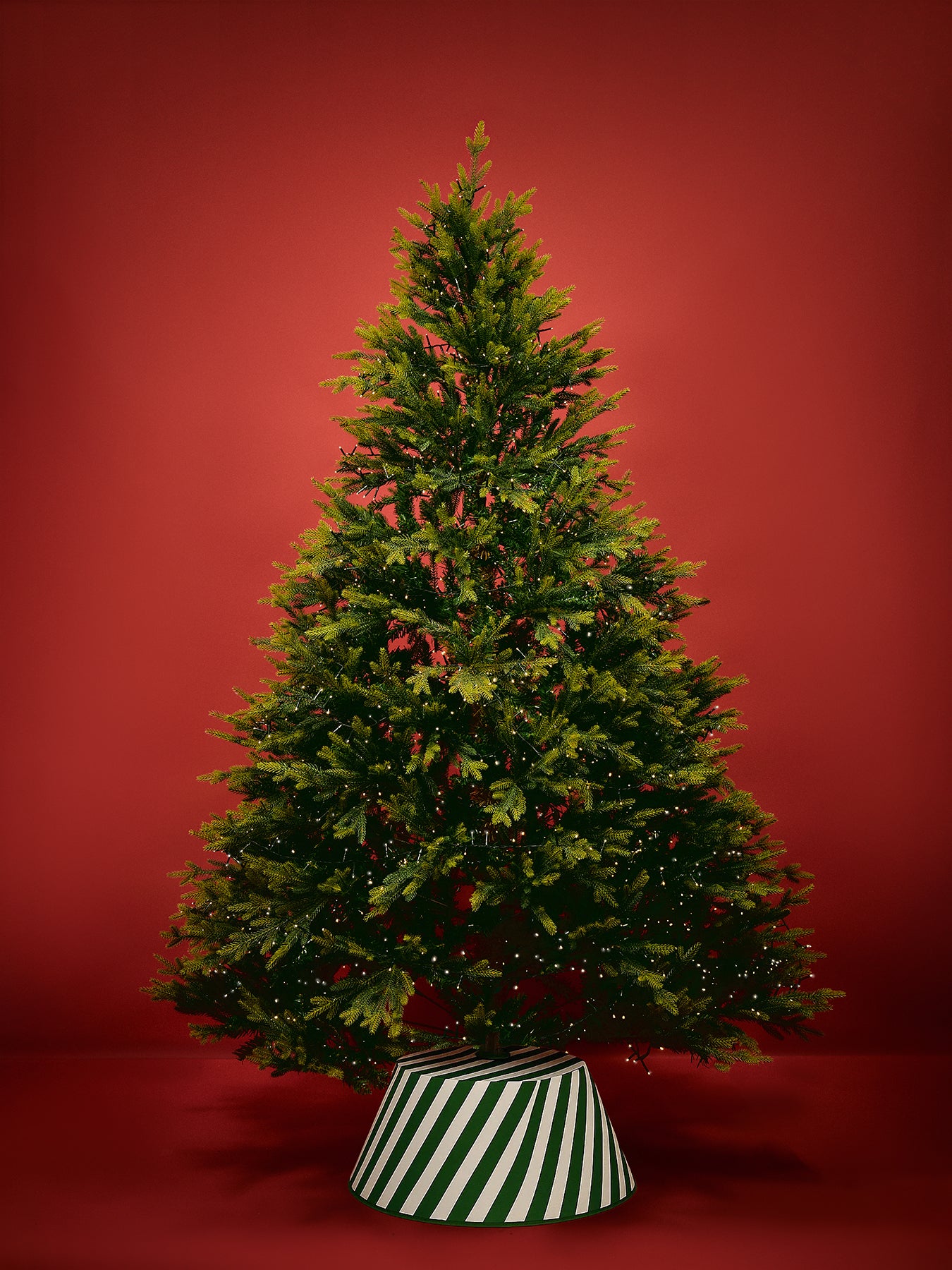 Rocky Mountain Pine Christmas Tree 7ft