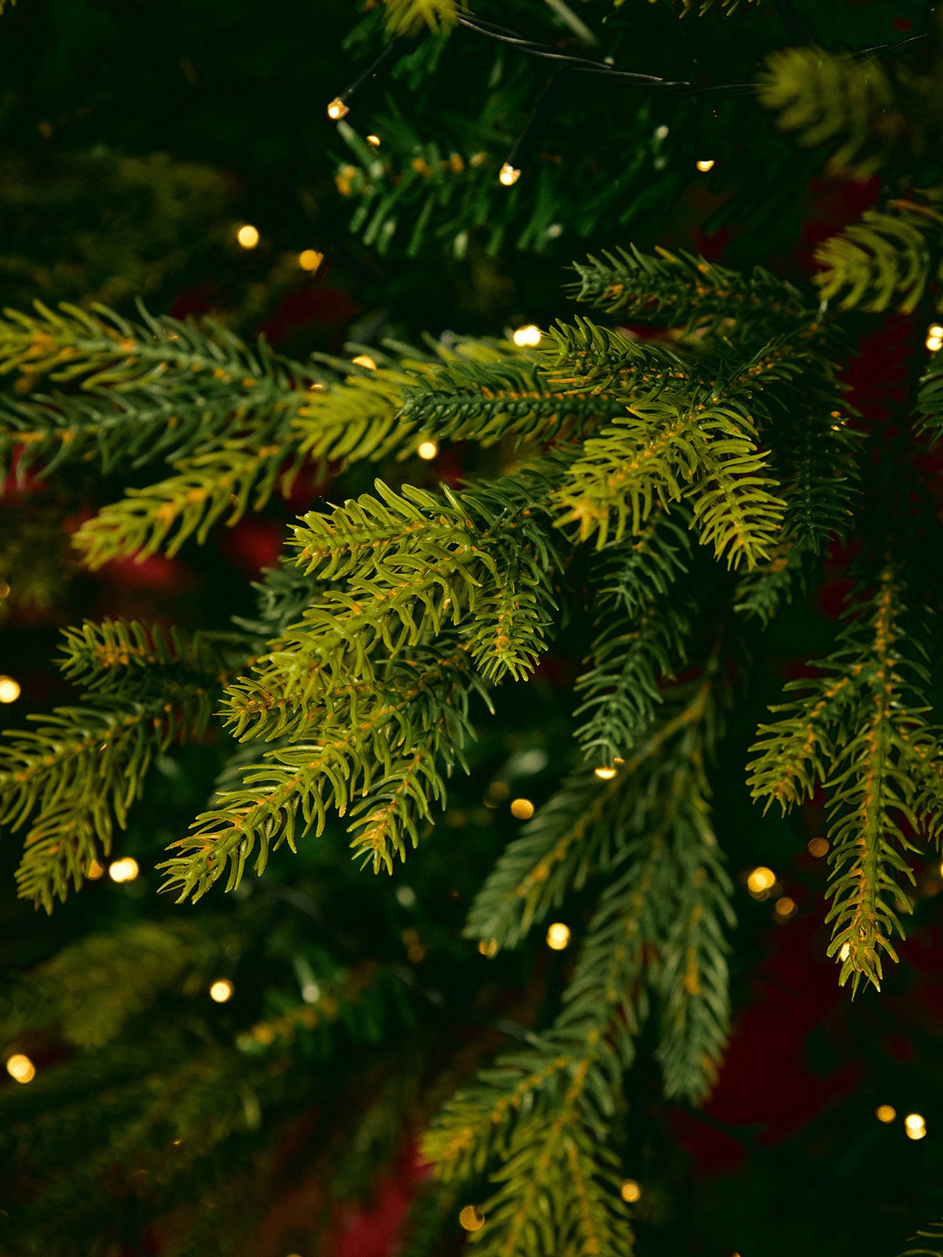 Rocky Mountain Pine Christmas Tree 7ft