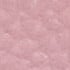 SS25-PINK