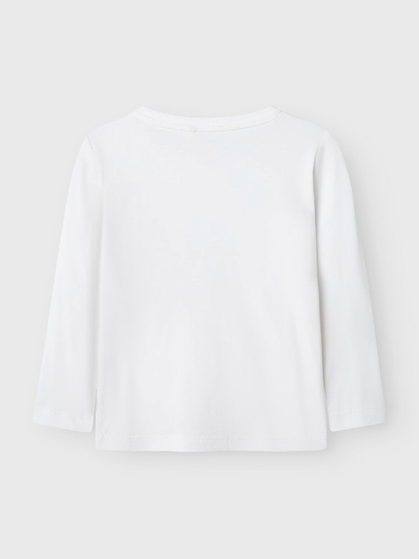 Regular Fit Long Sleeved Top