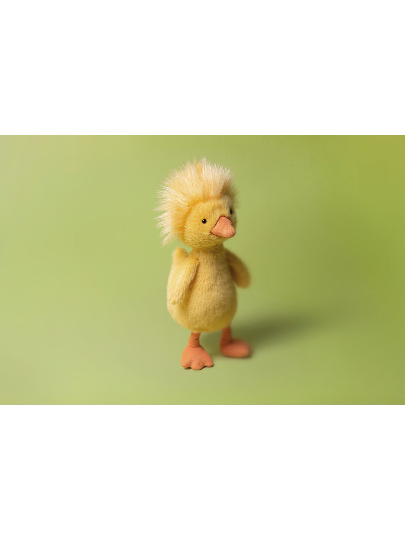 Dorit Duckling
