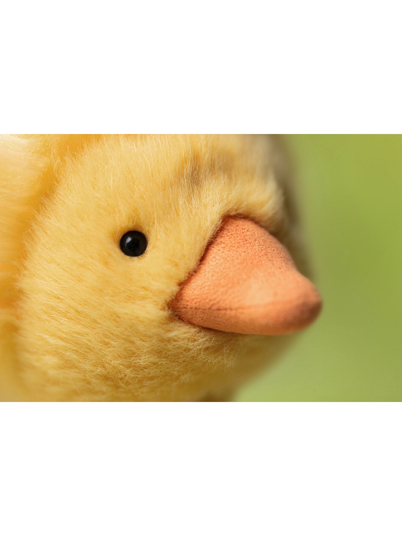 Dorit Duckling