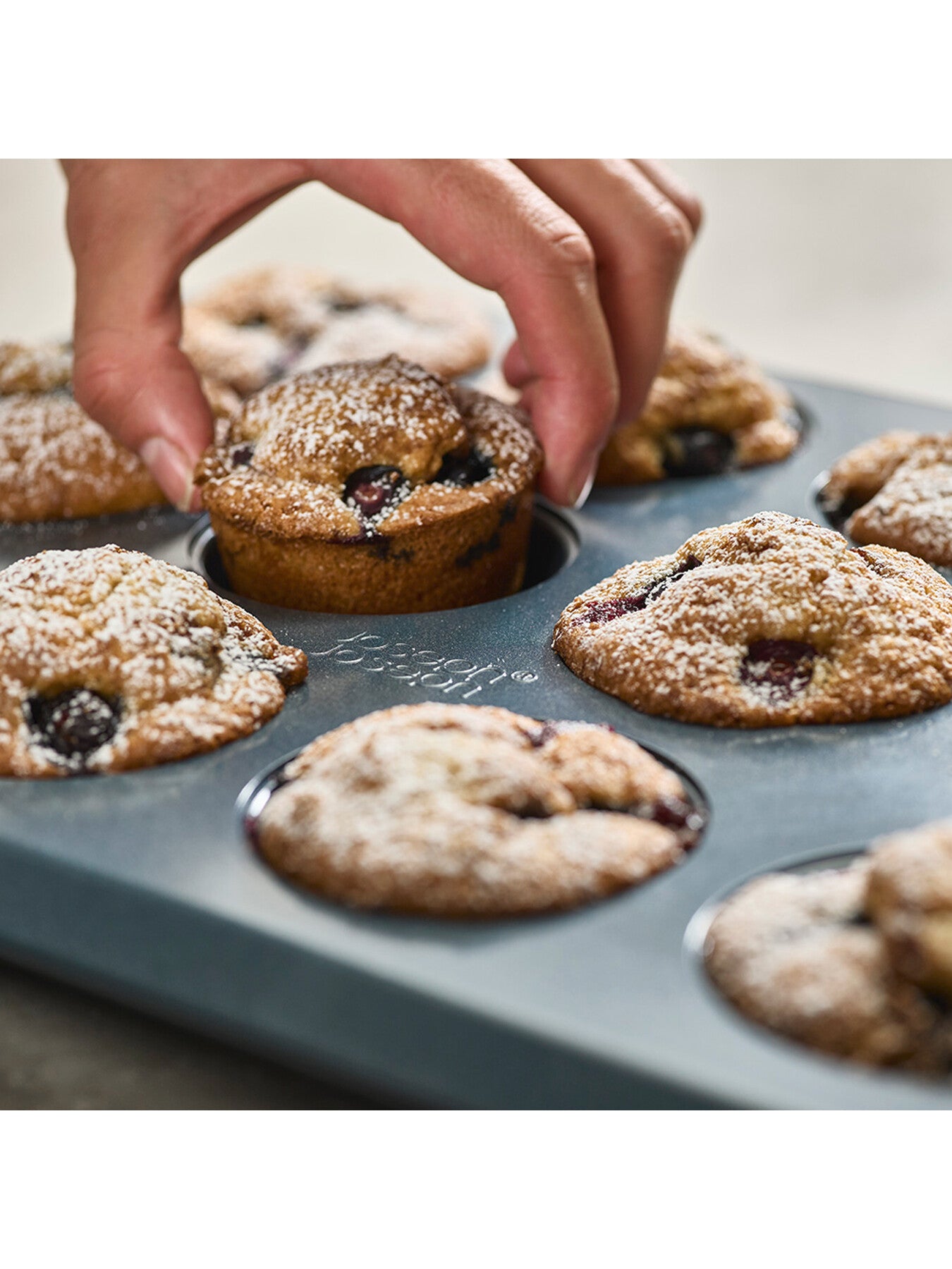 Nest Bake 12 Cup Muffin Pan