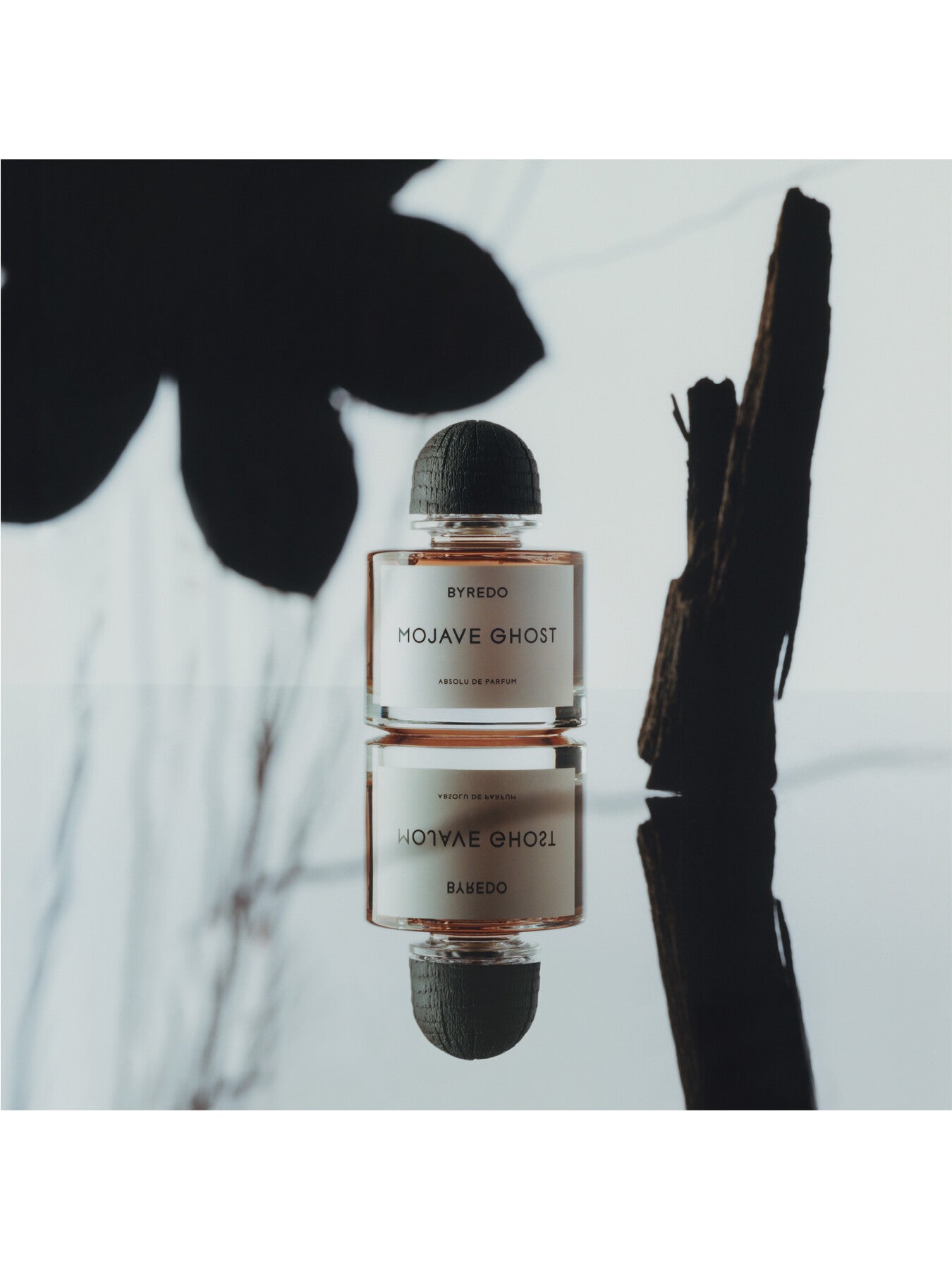 Mojave Ghost Absolu de Parfum 50ml