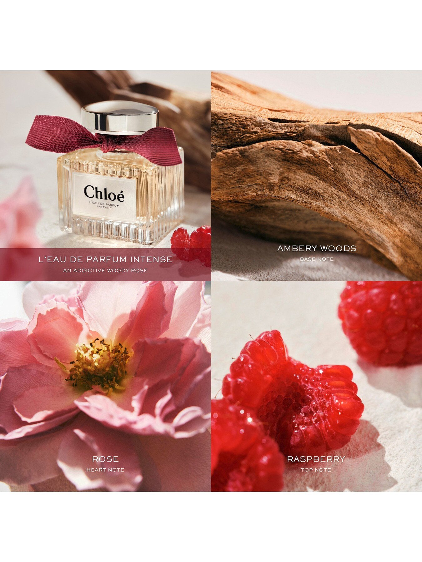 Chloé L’Eau de Parfum Intense for Women 100ml