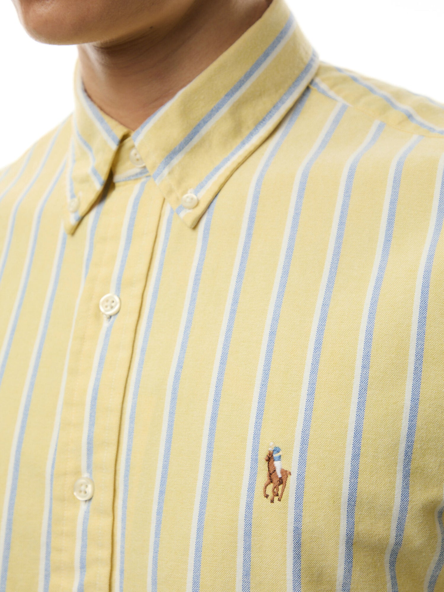 Custom Fit Stripe Oxford Shirt