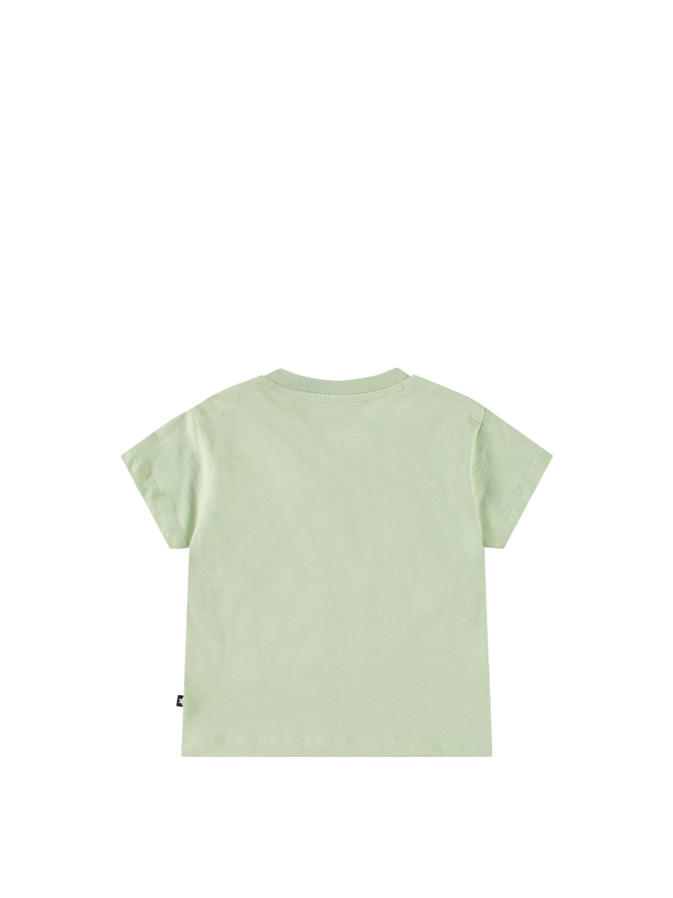 Enzo Misty Green T-Shirt