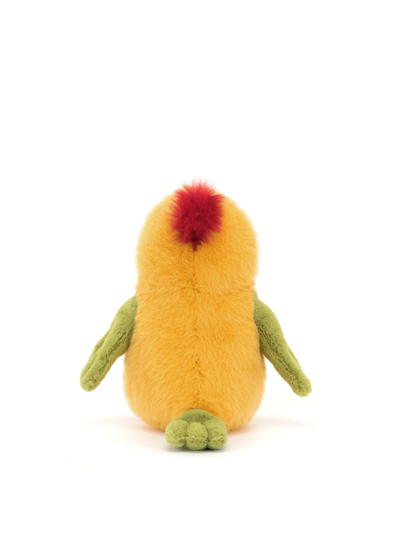 Budgeby Parrot