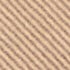 Safari Canvas