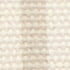 Safari Canvas Stripe