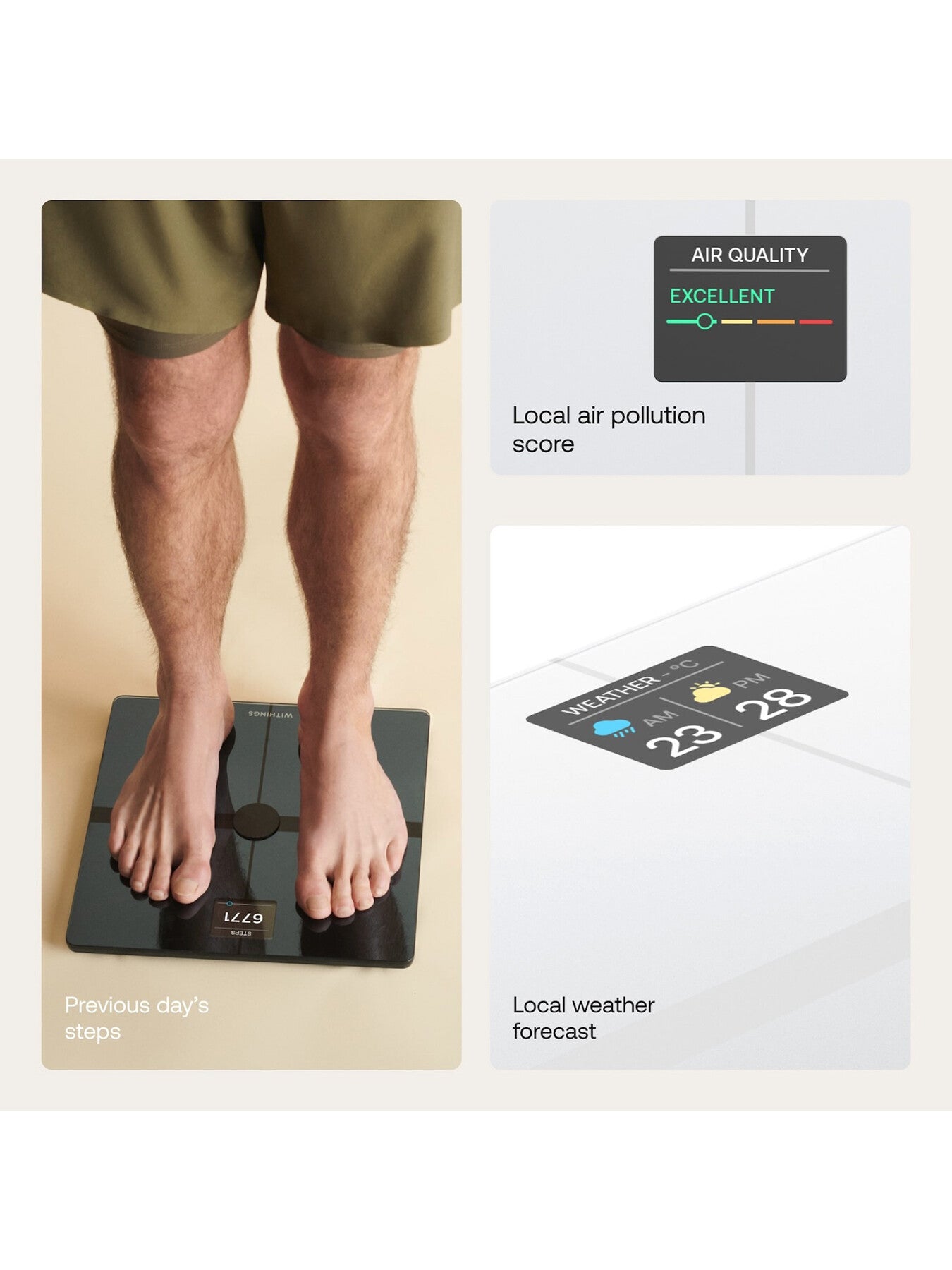 Body Smart Scale
