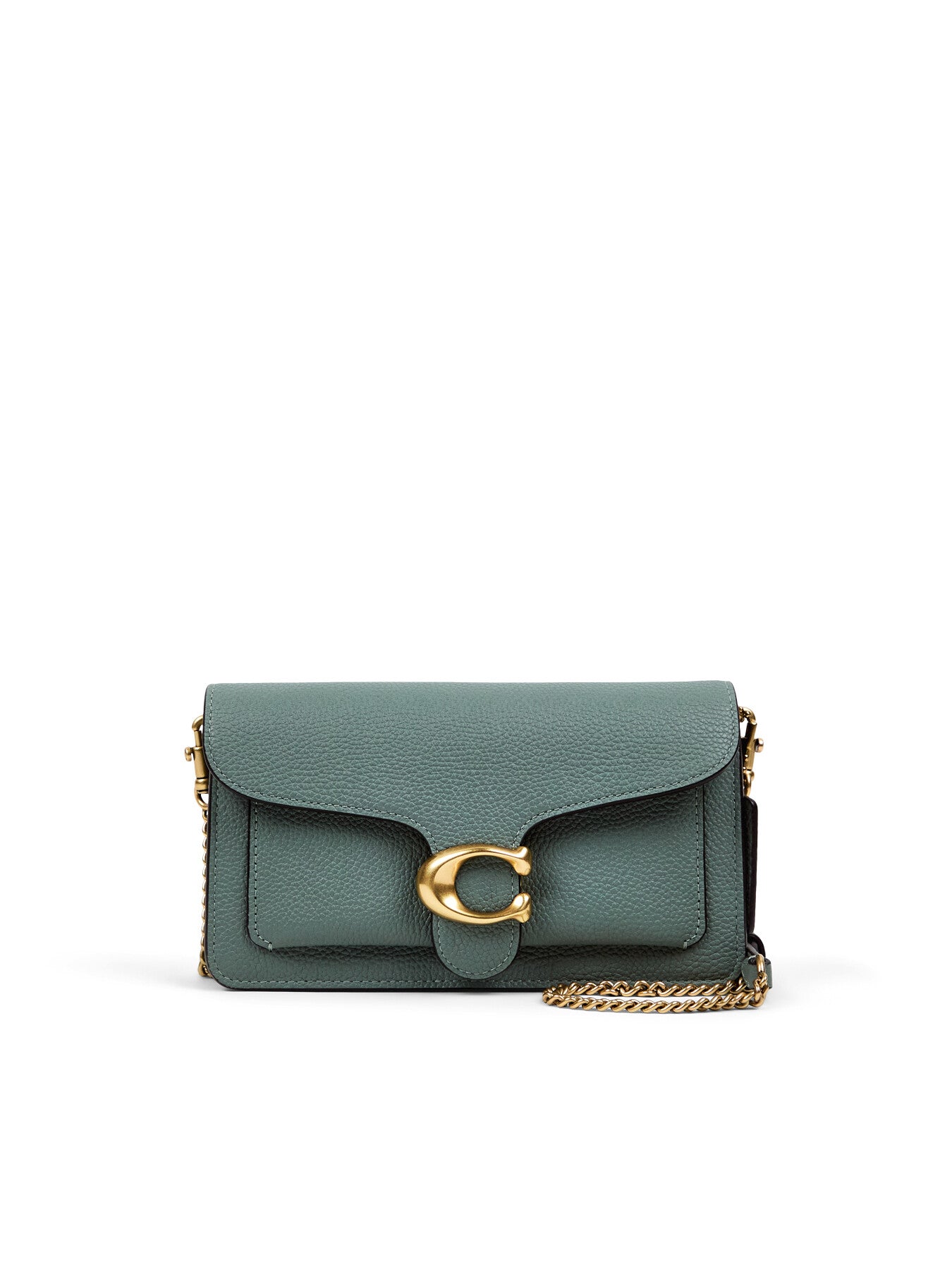 Tabby Chain Crossbody Clutch Bag
