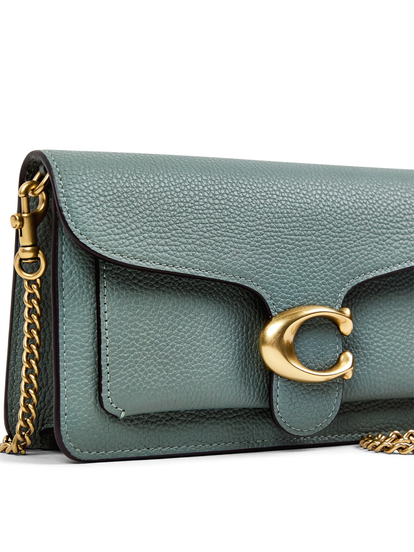 Tabby Chain Crossbody Clutch Bag