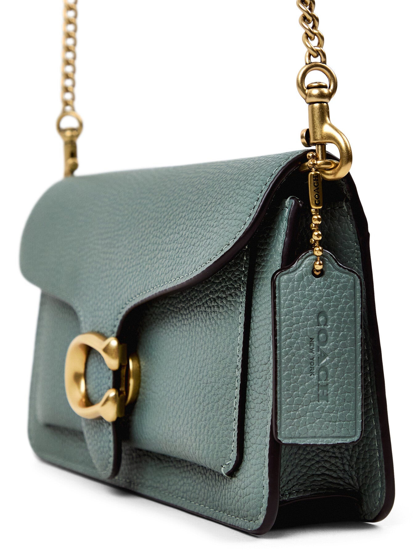Tabby Chain Crossbody Clutch Bag