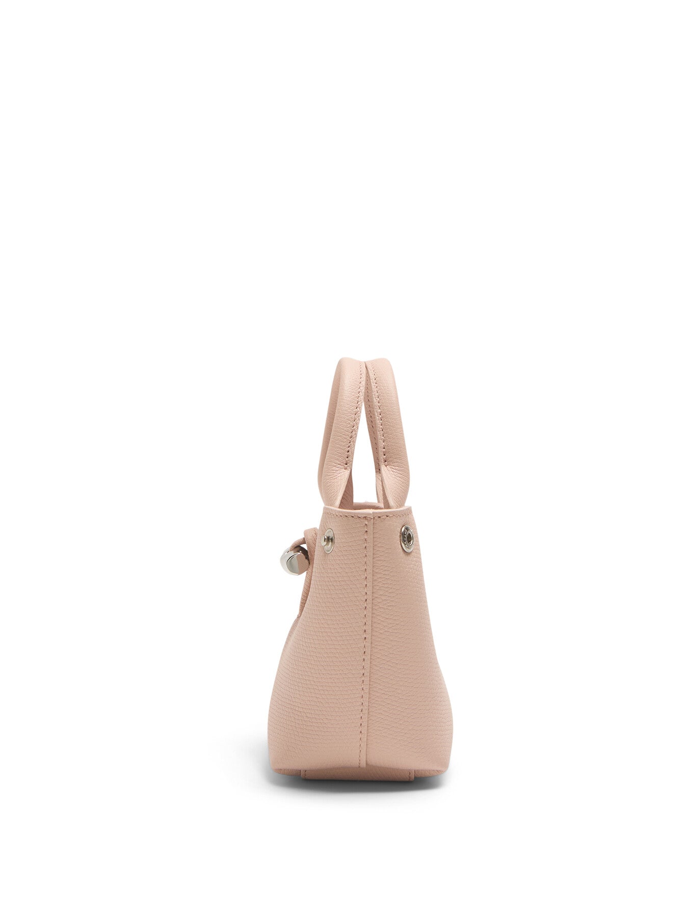 Le Roseau XS Handbag