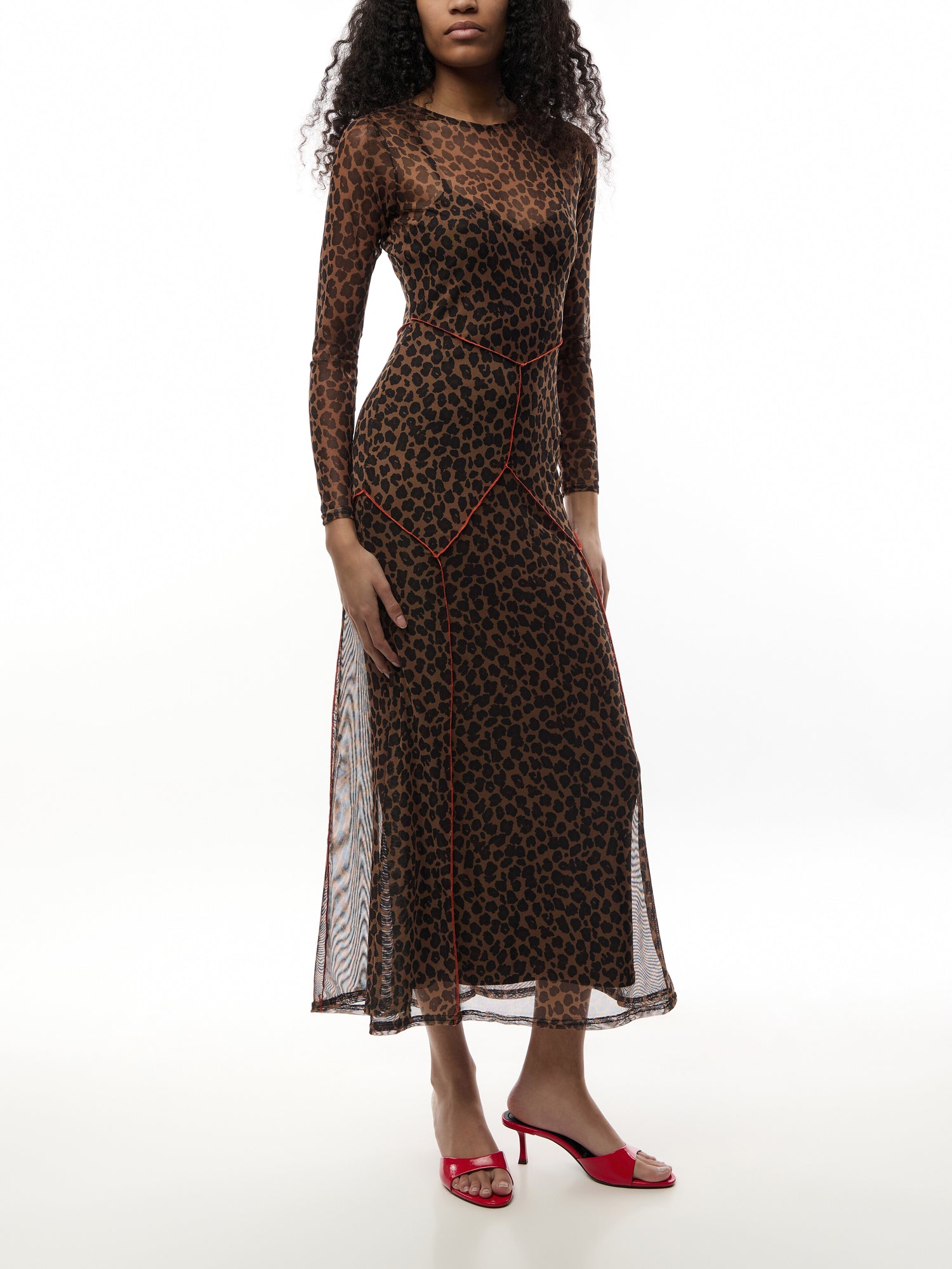 Mesh Dress