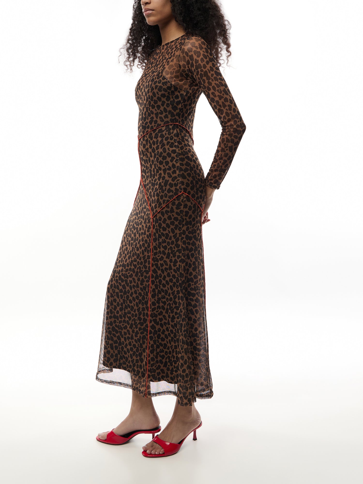 Mesh Dress